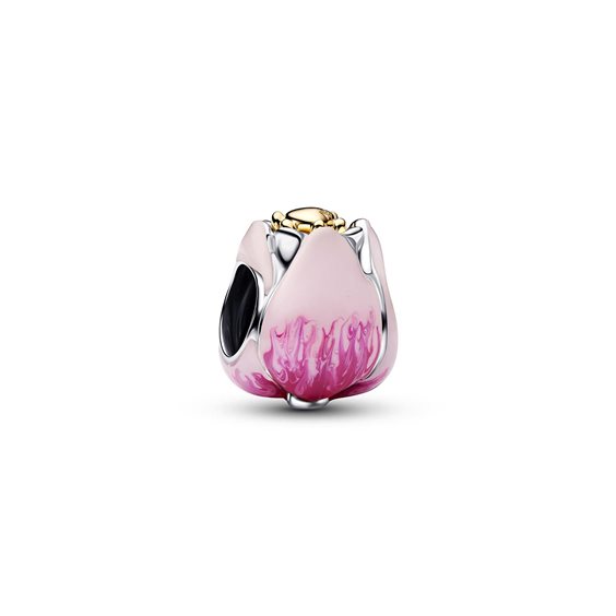 Charm Pandora Donna -- in Argento 764352C01 - 764352C01